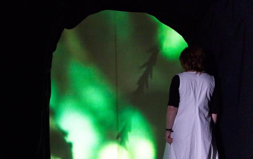 Human looking projection in a arched shape that is green and has silhouettes of pine leaves. 