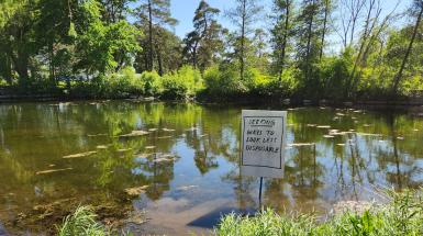installation view of a sign that says "seeking ways to look less disposable" in the river
