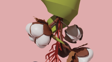 digital rendering of Mexican cotton, blackhaw berry, and sugar cane leaf on a pink background