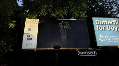 The back of a head of black hair in an afro hairstyle of long layered braids on a black background, mounted on a billboard.