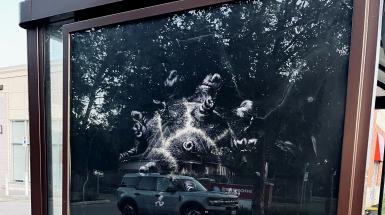 The back of a head of black hair in an afro hairstyle of black shorter hair tightened into vertical points on a black background, mounted in an advertisement slot at a bus stop.