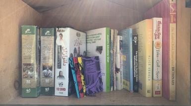 Several of the artist's zines leaning against other books in a Little Library