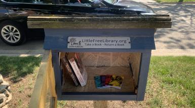 Several of the artist's zines laying flat in a Little Library
