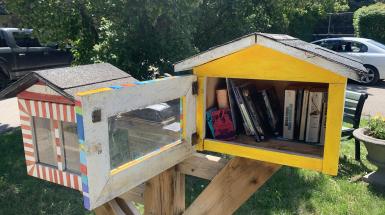 Several of the artist's zines leaning against other books in a Little Library