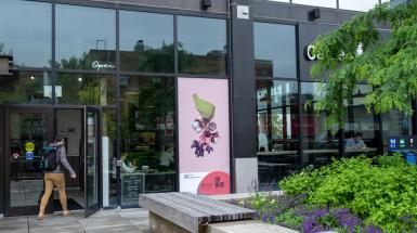 The artwork is a window vinyl at the front of Cafe Pyrus.