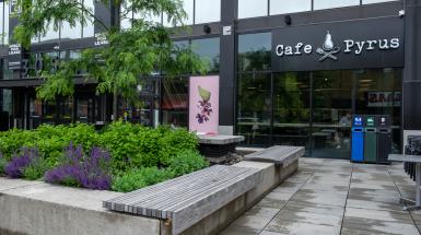 The artwork is a window vinyl at the front of Cafe Pyrus.