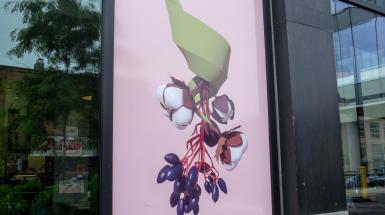 The image of the vinyl is a 3D modeled bouqet of cotton, blackhawe berry, and sugar cane.