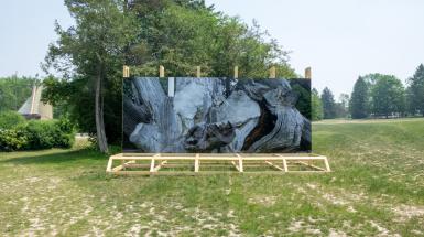 Freestanding billboard in a park field, depicting a close up shot of a very old oak tree in Ukraine which has concrete pressed into it and is held together by wires.