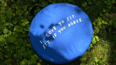 A round blue cushion that says "I love to sit. Sit if you agree."