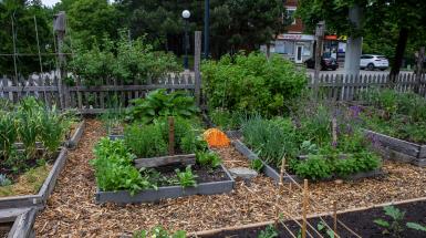 A bright yellow and orange shape among several slightly raised garden beds and wood chip paths.
