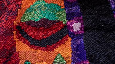 Weaving closeup. Mostly orange and red skin, green eyelid, purple hair.