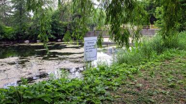 A sign in a river near the bank. The sign reads "Seeking descriptions of feeling rested"