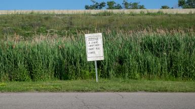 A sign on a post in grass in front of tall reed-like plants. The sign reads "Seeking a sign, any sign that you care"
