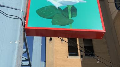 In evening light, a sign of a white rose on green background with red border attached to a post. Another sign attached to a post behind has pink roses on a blue background with a white border.
