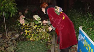 A woman in a red coat leaning over picking flowers from a garden in the night. 