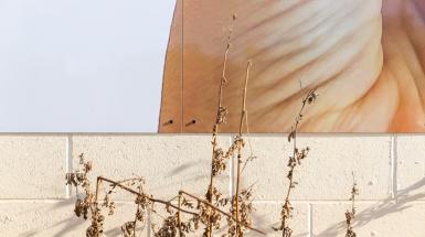 Bush in front of large poster of hand. 