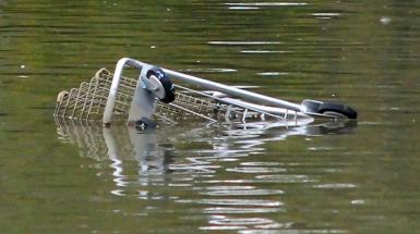 Grocery cart sinking into water.