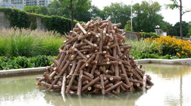 Pile of logs sitting in pond. 