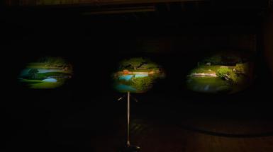 Three projections of landscapes. 