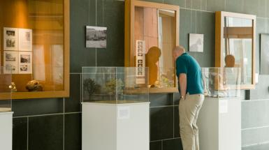 A wall with four shadow boxes and three plinths. That feature a variety of images and natural objects. 