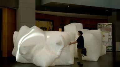 A man standing in front of two white abstractly shaped large blowup sculptures.