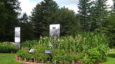 Image of circular garden. 