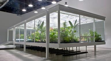Image of Plants in large square green house in the middle of a gallery room