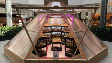 Image of pyramid shaped green house