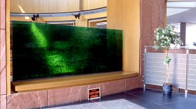 A rectangle of turf vertically displayed with keep off grass sign
