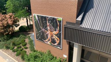 Installation of spider hanging on web upon a brick wall. 
