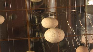 Rocks hanging from fishing wire. 