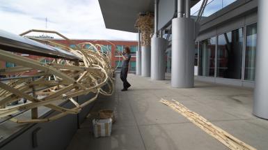 A sculpture made of wooden beams in an organic structure winding around railings of Kitchener city hall building 
