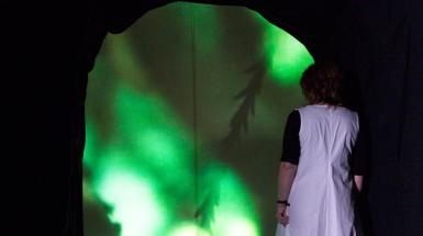 Human looking projection in a arched shape that is green and has silhouettes of pine leaves. 