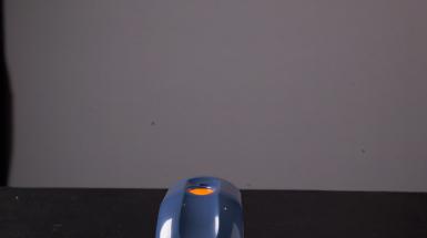 A fingerprint scanner