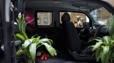 A view looking into open doors on the passenger side of a black vehicle, with potted tropical plants tucked against the doors and visible feet in pink sandals of someone watching a video from inside the vehicle