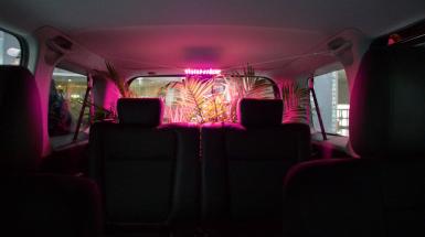 A view from between the front seats of a vehicle, looking into an empty back seat with a trunk full of tropical plants lit by pink LED