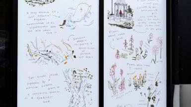 3/4 angle outside cafe pyrus a window vinyl depicts sketches and descriptions of locations or sights in the neighbourhood