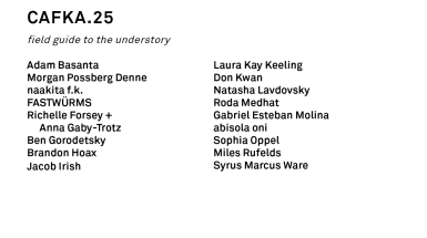 cafka.25 biennial artist list