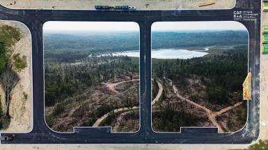 Digital composite image of industrial roadway as seen from above collaged with forest clearcut.