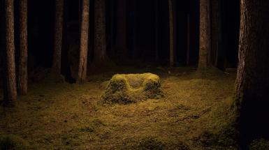 a moss-covered chair in a dark forest