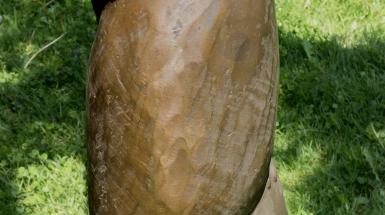 Close up of bronze unicorn horn, with droplets shaped like tadpoles or sperm moving around the ridges.