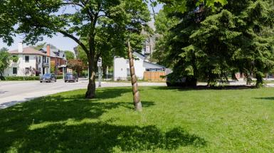 Bronze unicorn horn planted in a grass lawn.