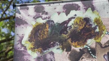 A close up of the dappled ink patterns.