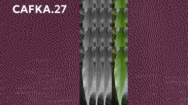 Pixelated image of water the colour of plums, accompanied by pixelated images of willow leaves in black and white and colour. White text overlayed reads Office Hours // CAFKA.27 and In-person.