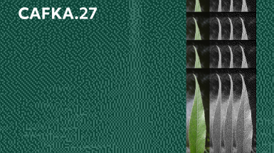 Pixelated image of water the colour of deep hunter green, accompanied by pixelated images of willow leaves in black and white and colour. White text overlayed reads Office Hours // CAFKA.27 and Online..