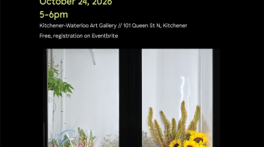 a fridge full of flowers