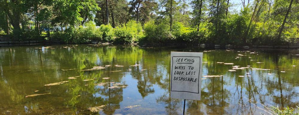 installation view of a sign that says "seeking ways to look less disposable" in the river