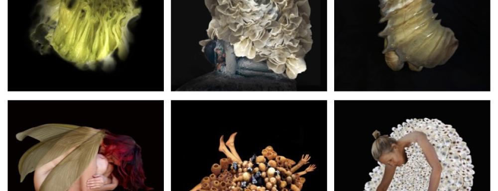 zest artist collective members embodying different insect forms in a grid of six images