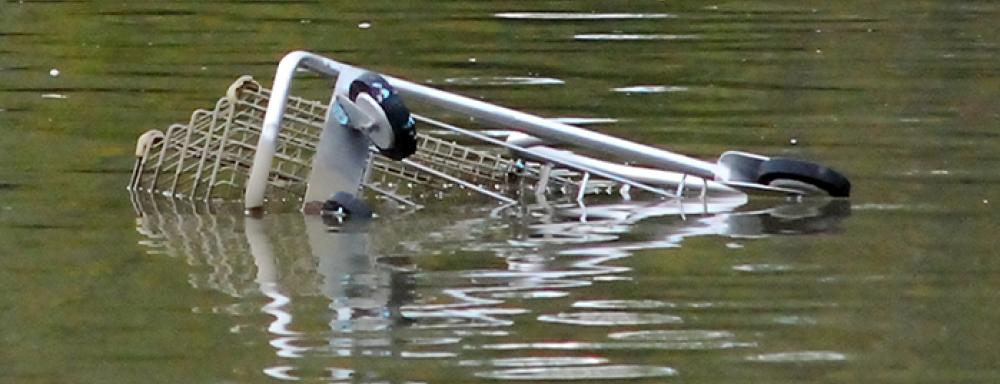Grocery cart sinking into water.