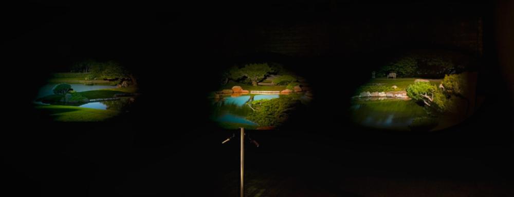 Three projections of landscapes. 